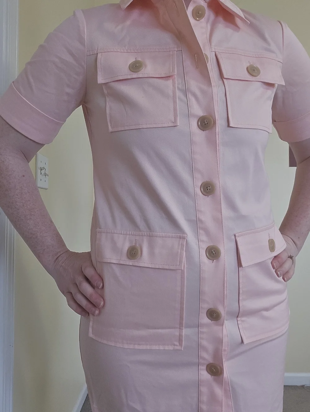 J. Crew Light Pink Gamine Preppy Spring Button Shirt Mini Dress J. Crew Light Pink Gamine Preppy Spring Button Shirt Mini Dress
